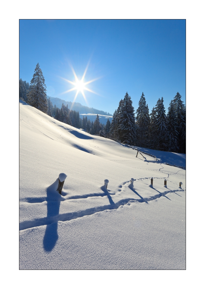 Winter bei Oberiberg #325871
