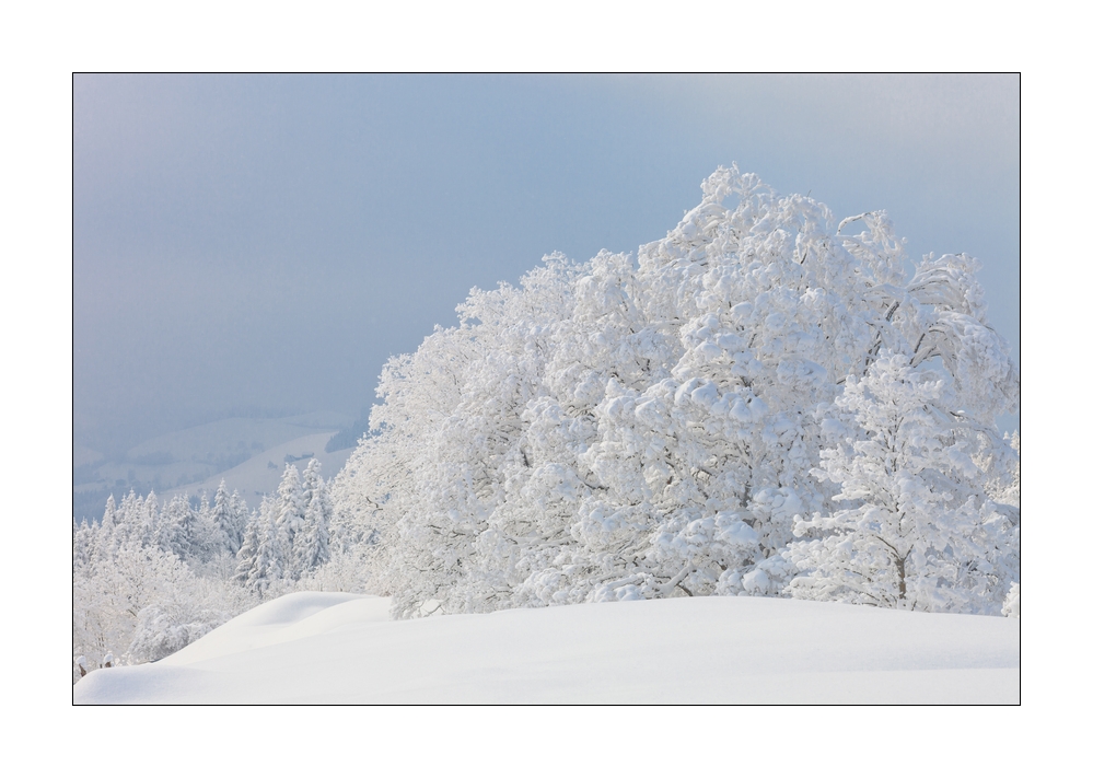 Winter im Eigental #25915