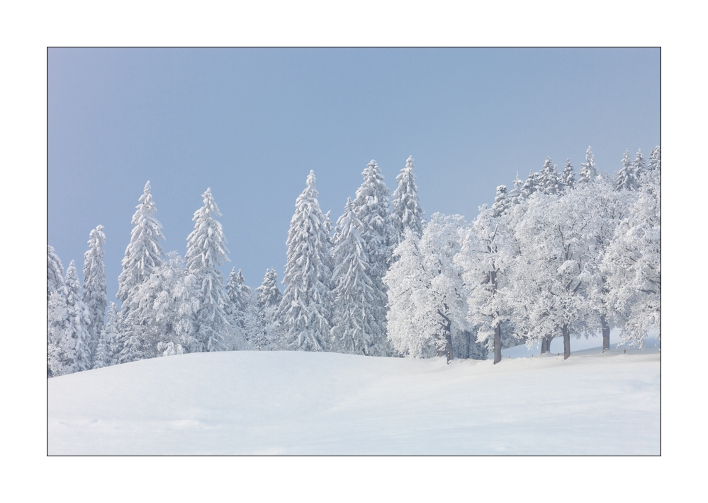Winter im Eigental #25925