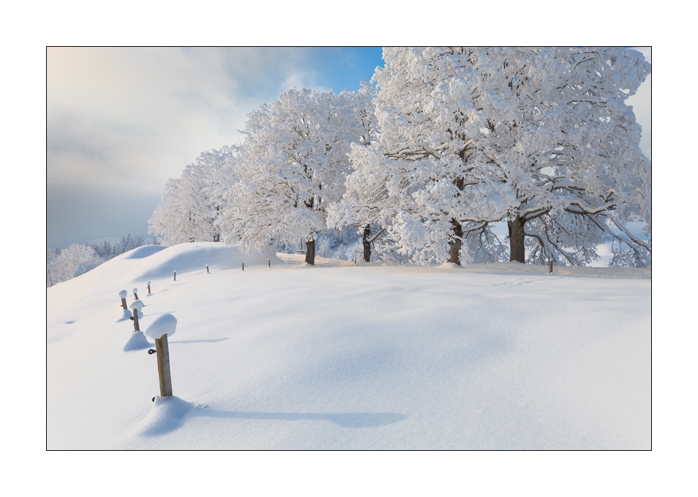 Winter im Eigental #25940