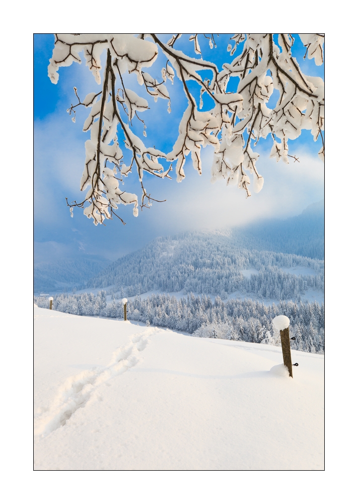 Winter im Eigental #25968