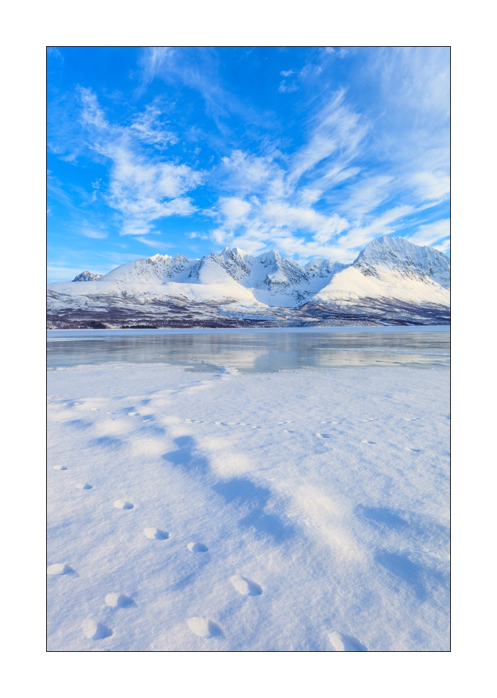 Fjord im Winter #36925