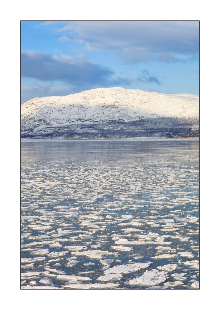Fjord mit Eis #36421
