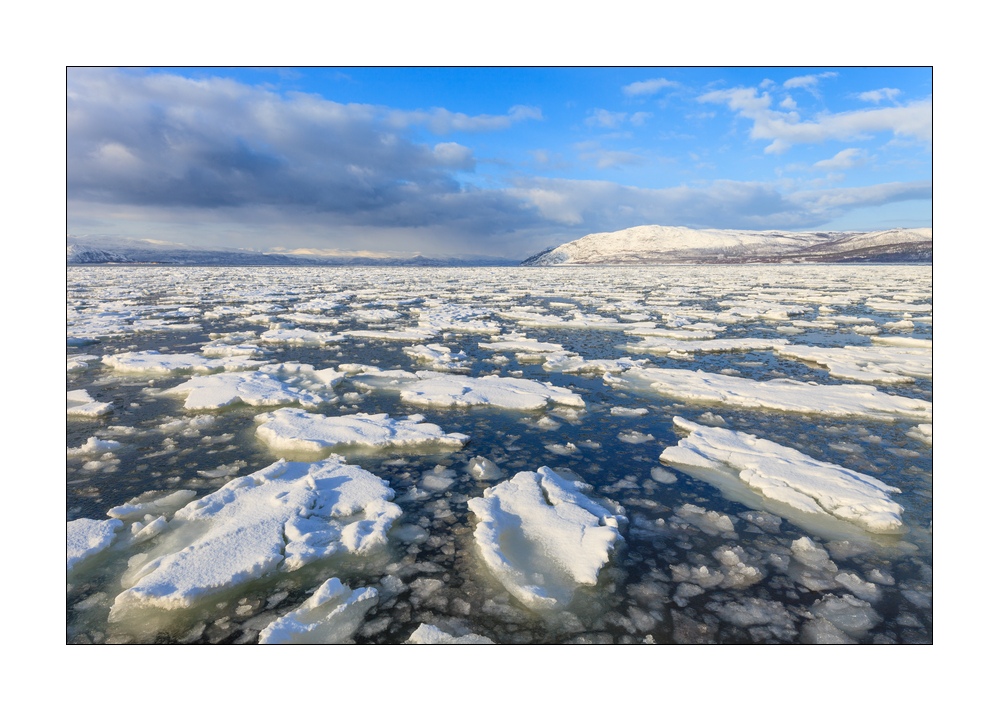 Fjord mit Eis #36471