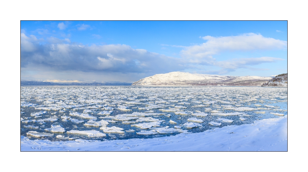 Fjord mit Eis Pano #36450