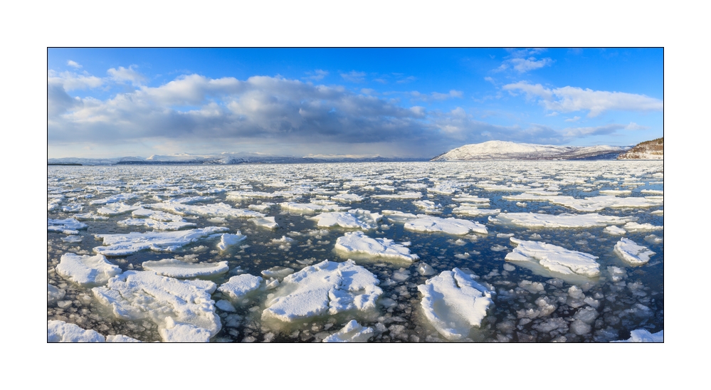Fjord mit Eis Pano #36464