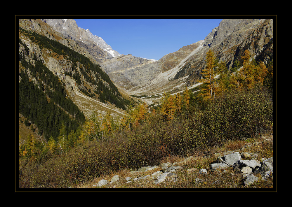 Gasterntal #16170
