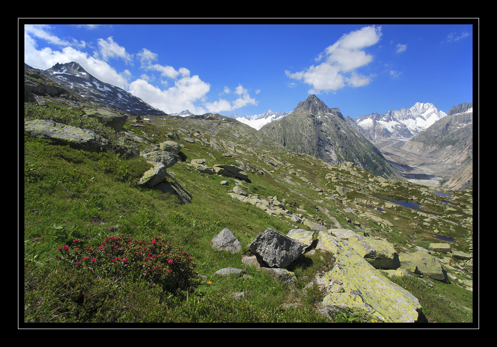 Grimsel #8316