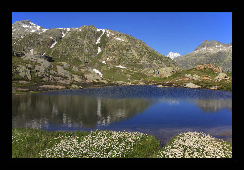 Grimselpass #8214