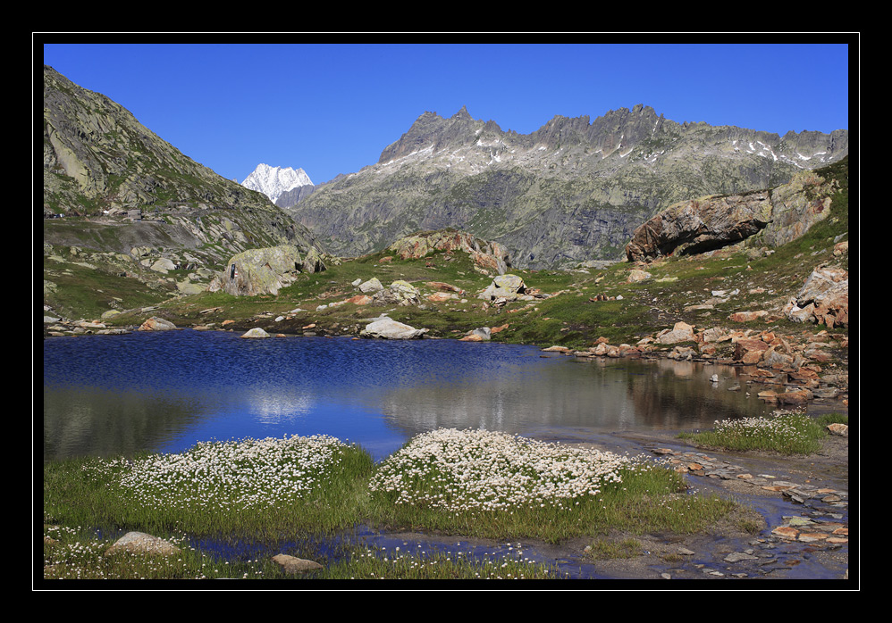 Grimselpass #8248