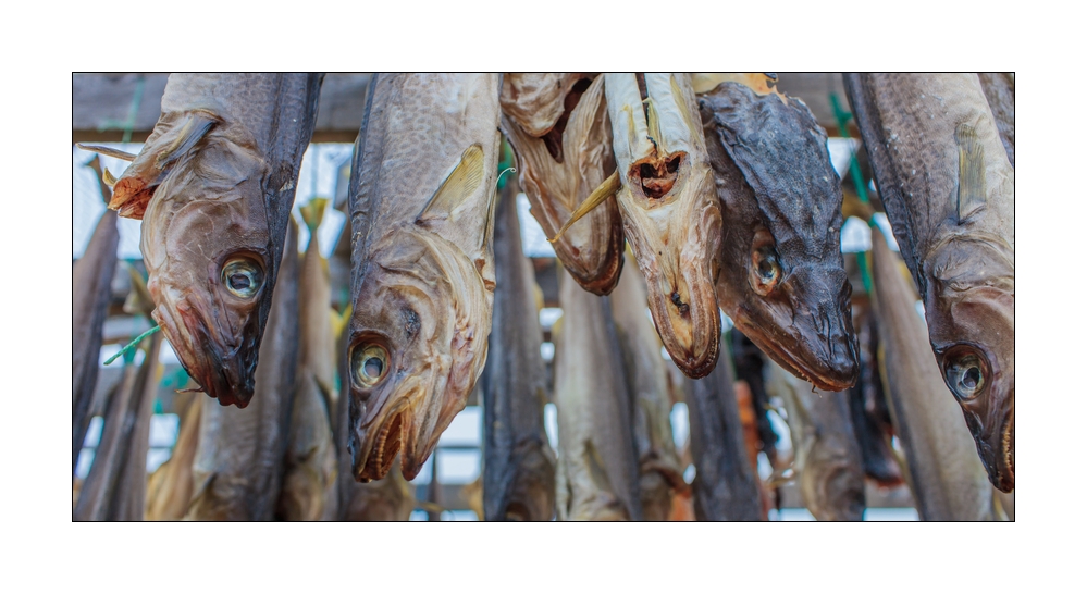 Fisch getrocknet #39773