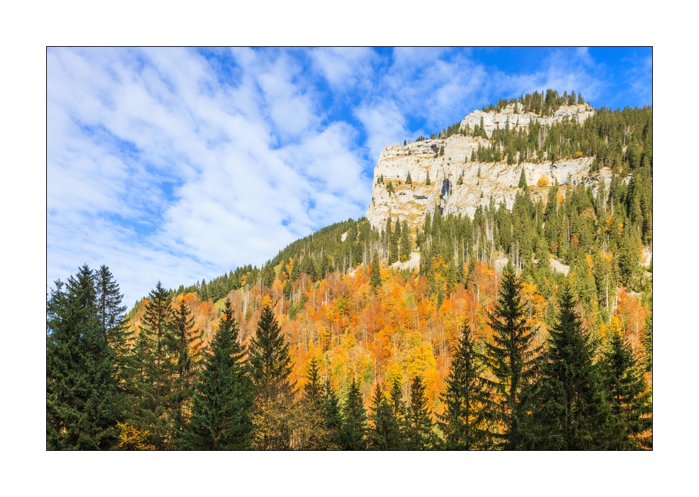 Herbstwald bei Kemmeriboden #40082