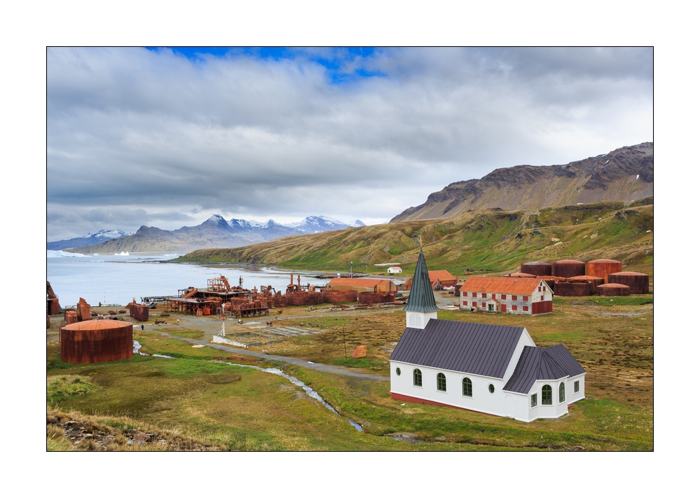 Grytviken #333590