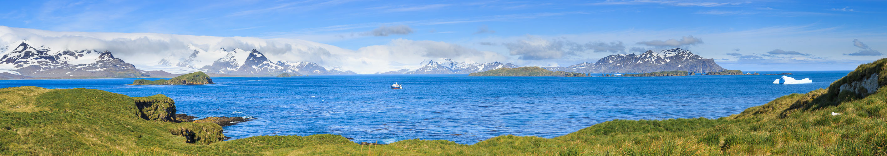Prion Island Pano #333554