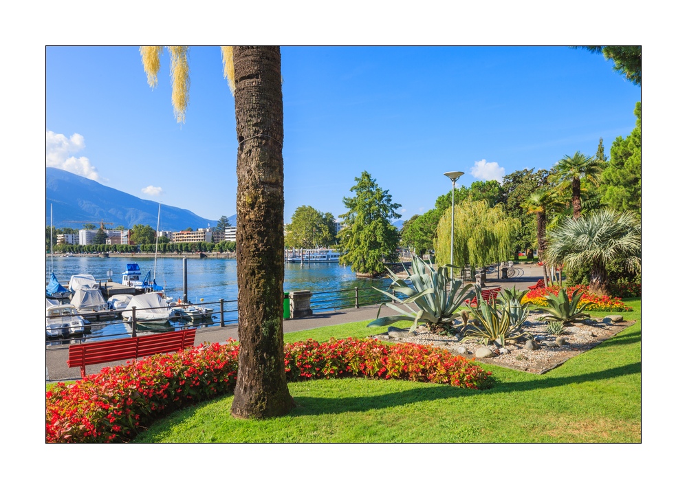 Locarno Seepromenade #333111