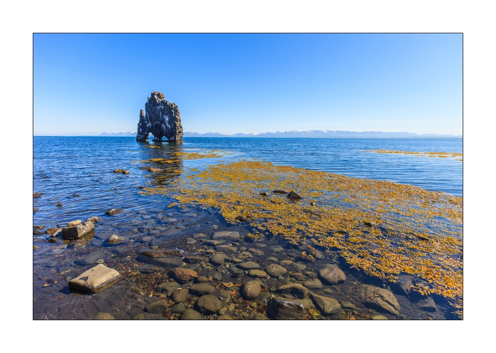 Hvitserkur #31912