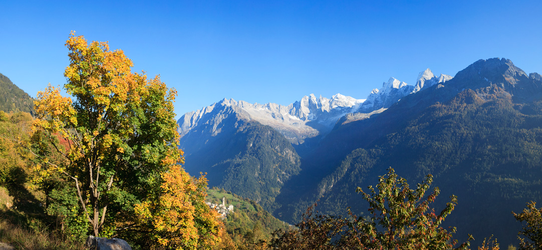 Bergell Pano #30826