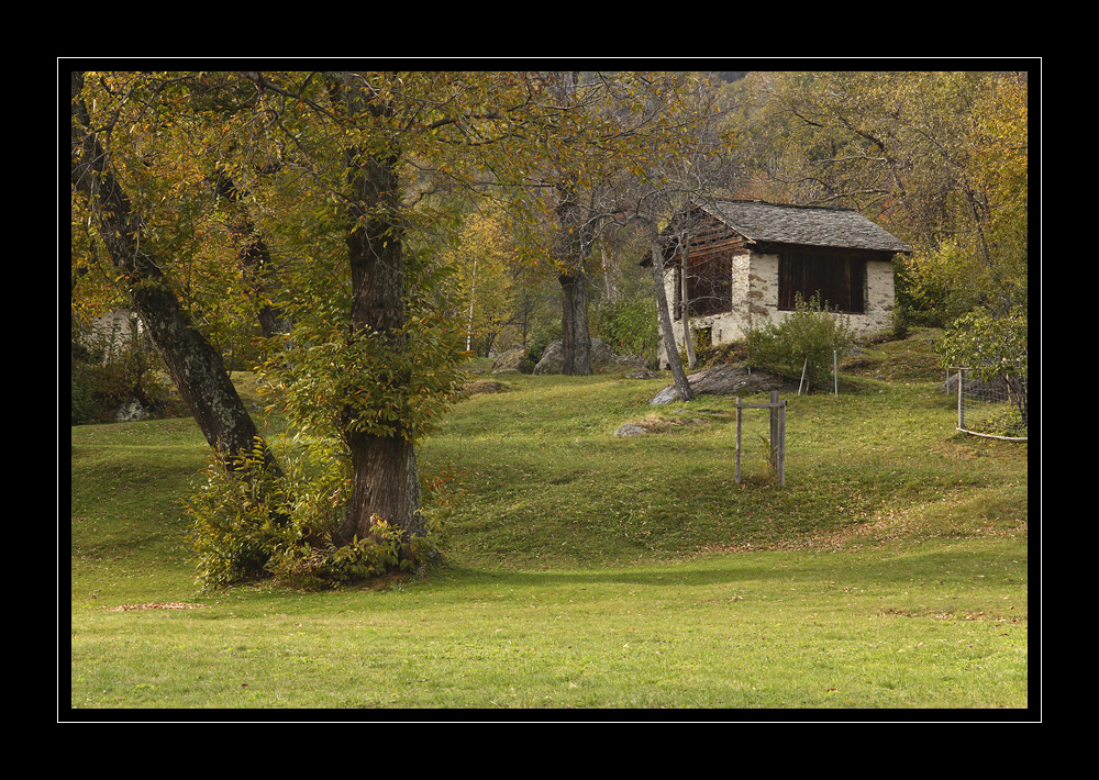 Soglio #11531