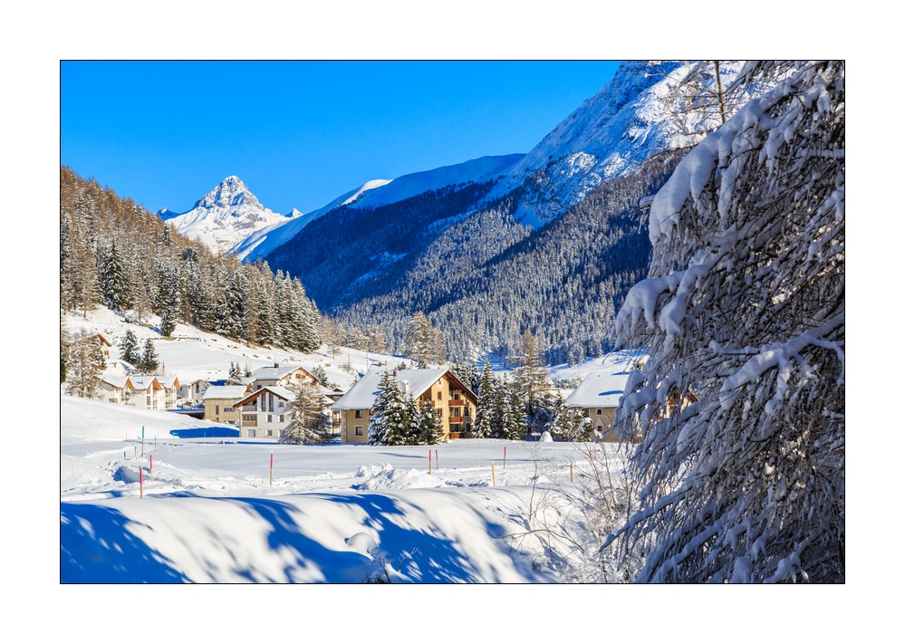 Winterwald #339036