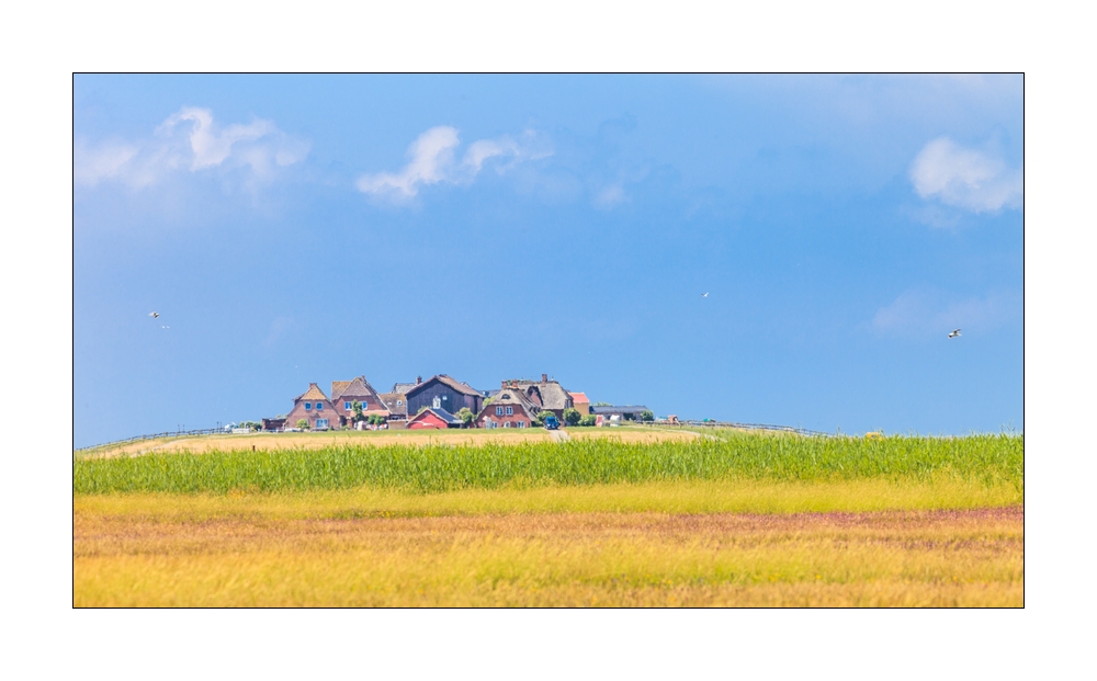 Hallig Landschaft #35798
