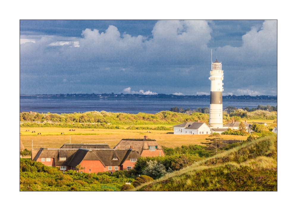 Sylt Leuchtturm #35558