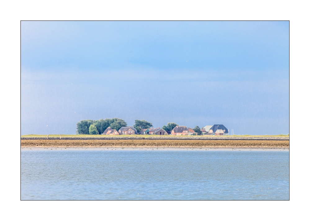 Hallig Hoge #35712