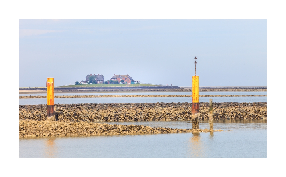 Hallig Hoge #35734