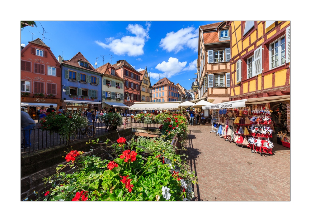Colmar #36015