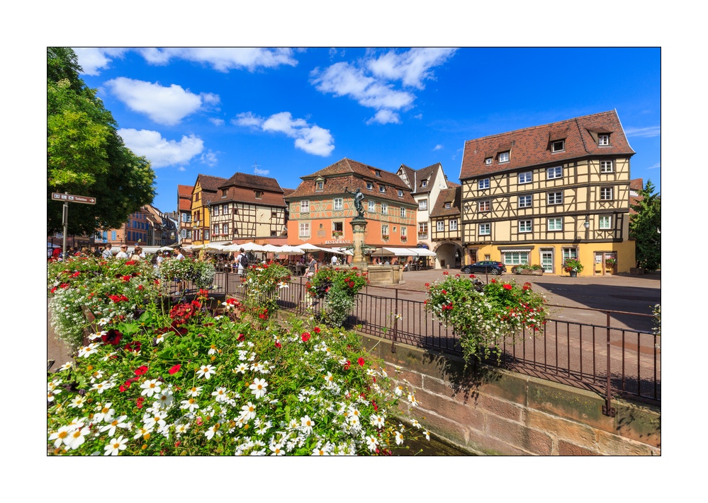 Colmar #36017
