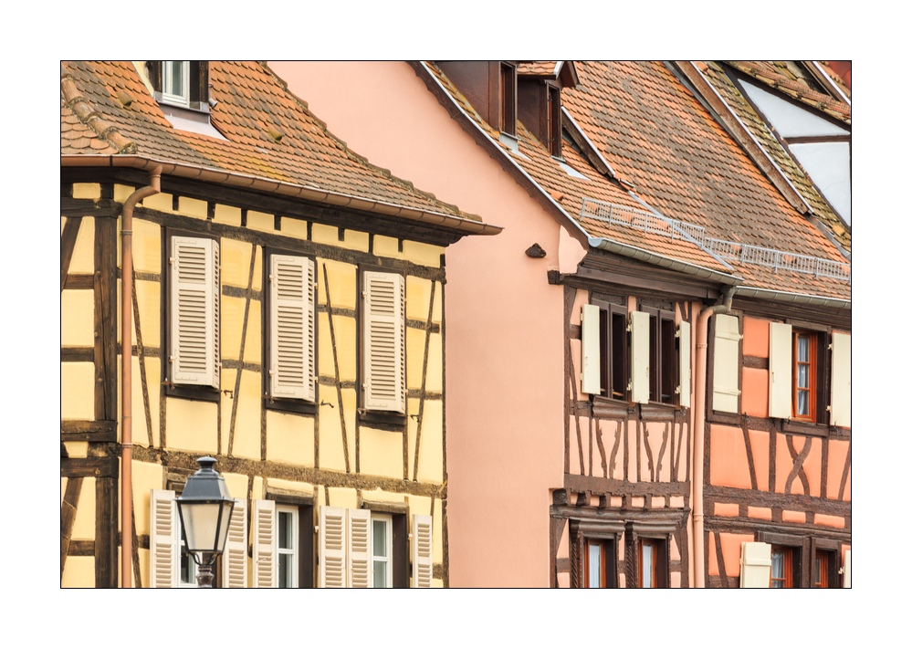 Colmar #36055