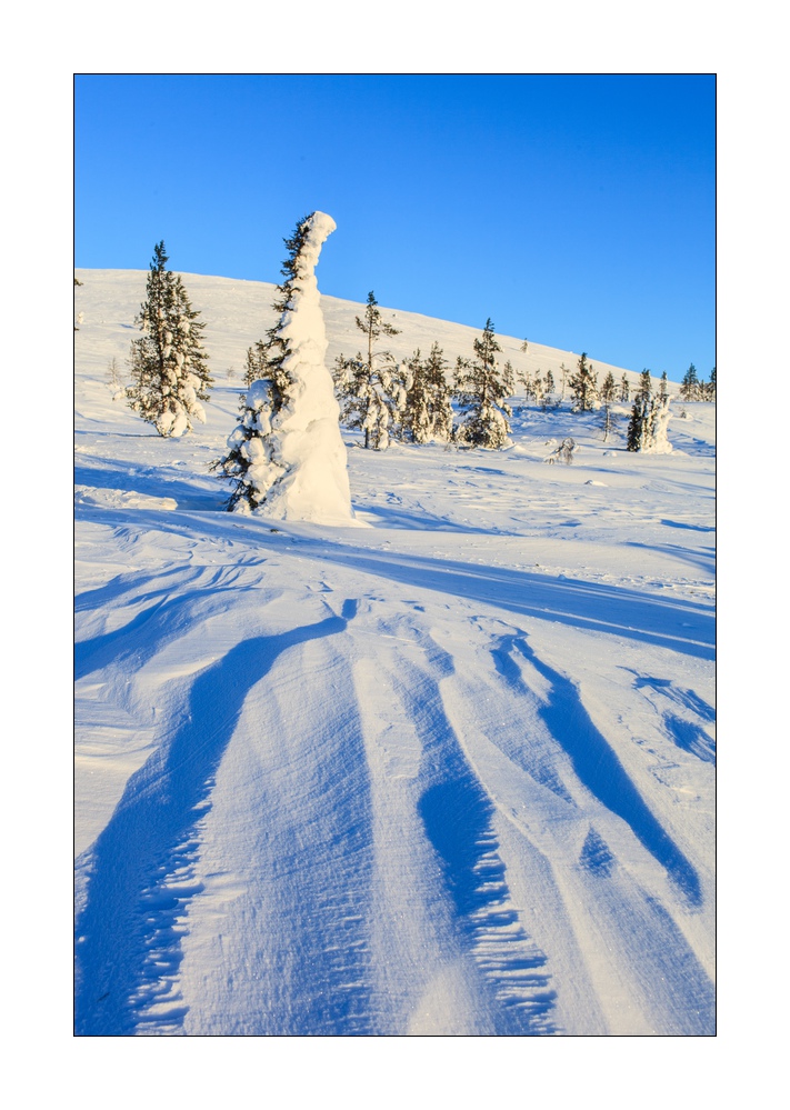 Winter in Lappland #35978