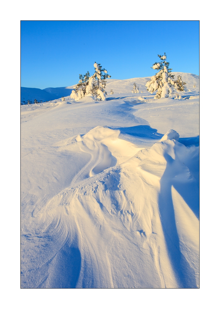 Winter in Lappland #35980