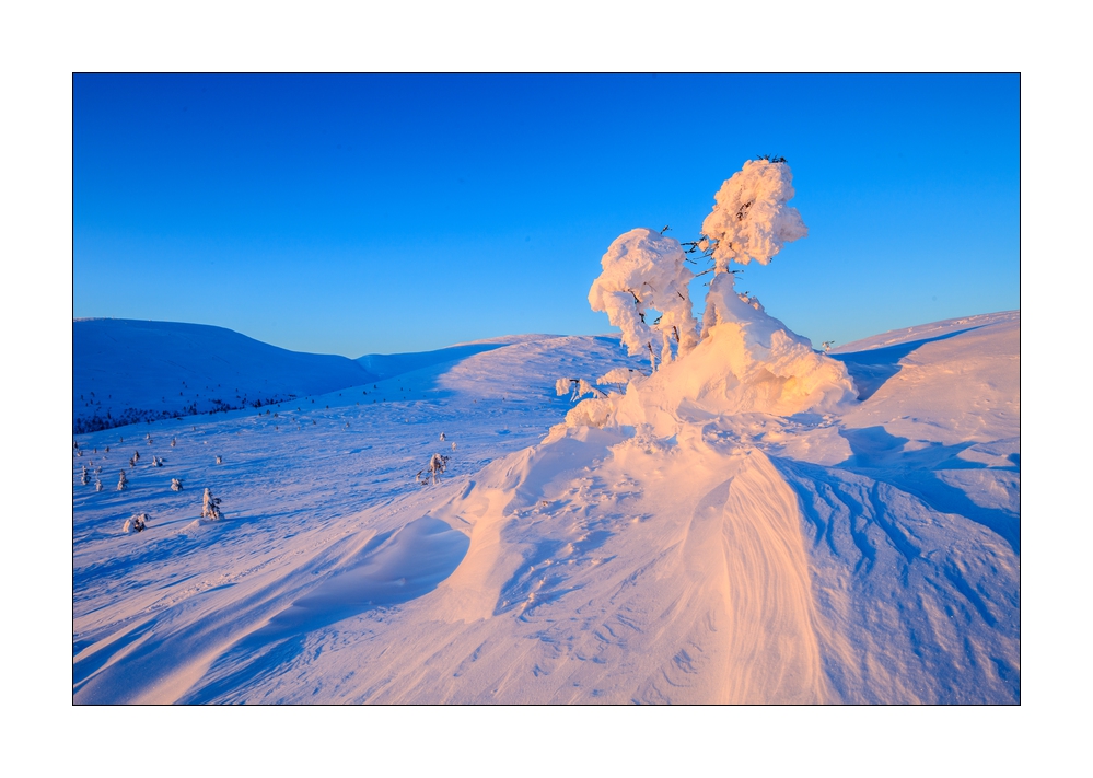 Winter in Lappland #35996