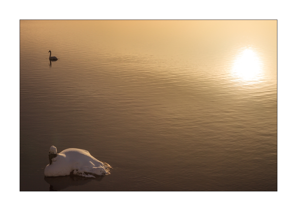 Winter in Lappland #36110