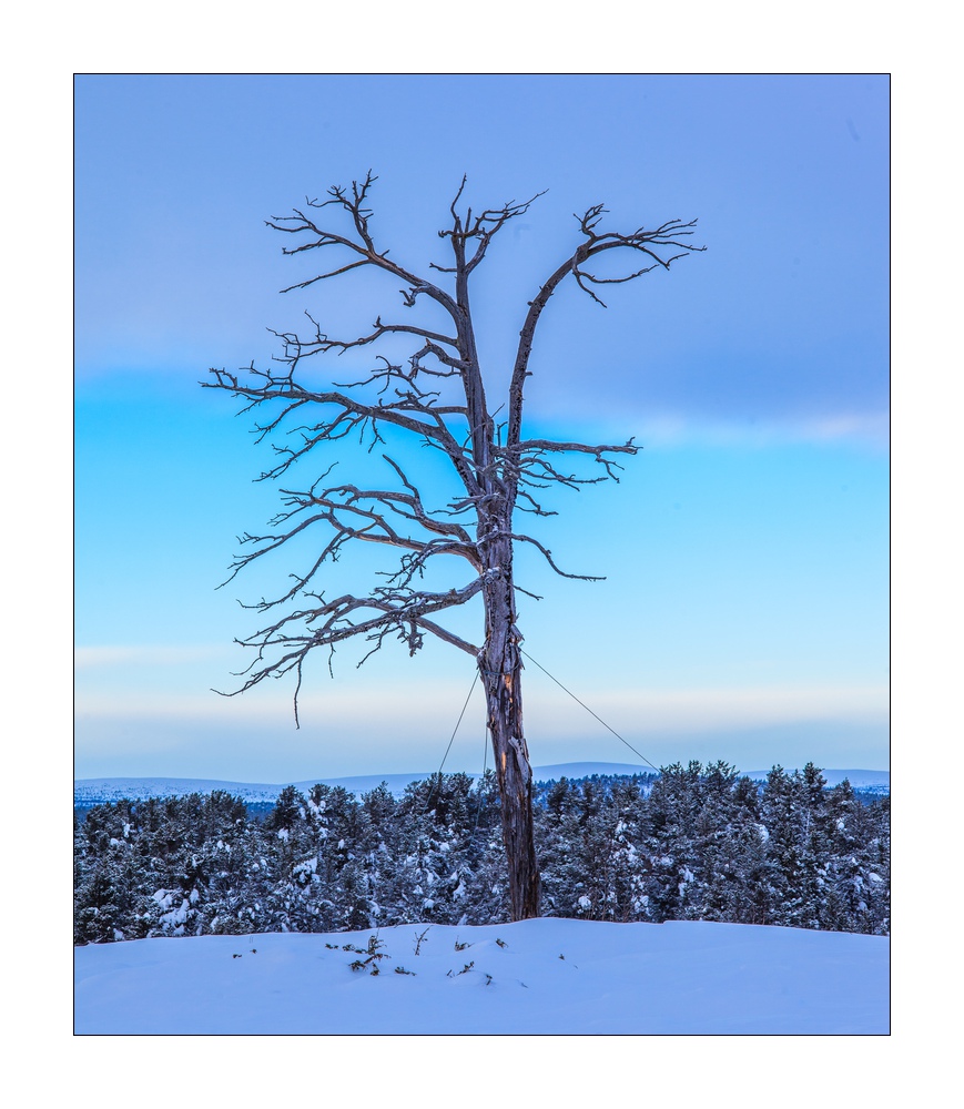 Winter in Lappland #36166