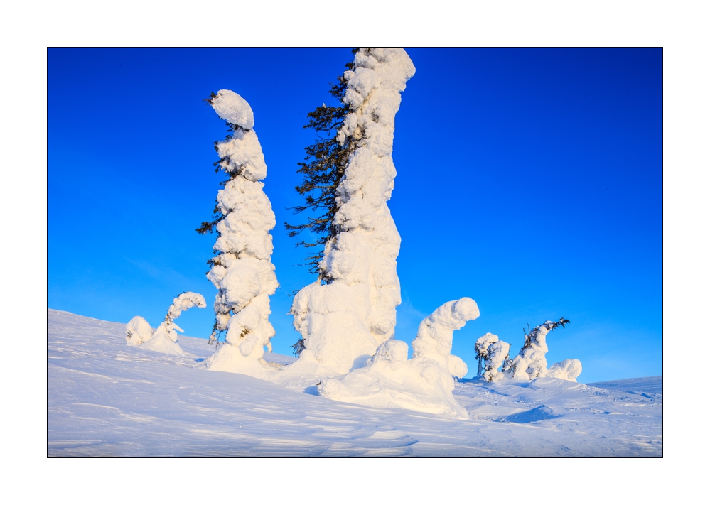 Winter in Lappland #36240