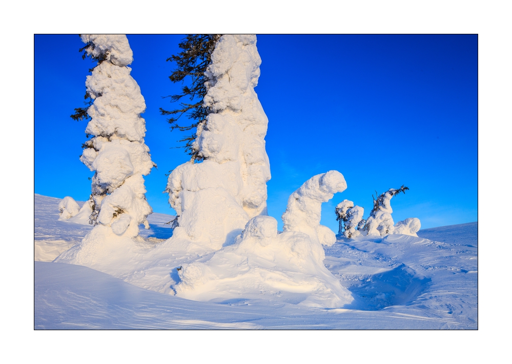 Winter in Lappland #36241