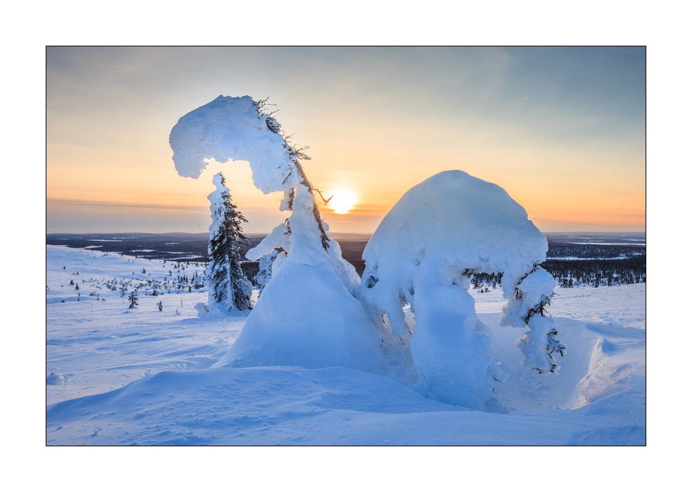 Winter in Lappland #36254