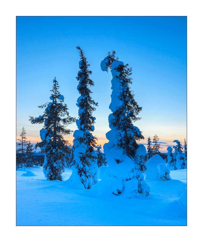 Winter in Lappland #36264