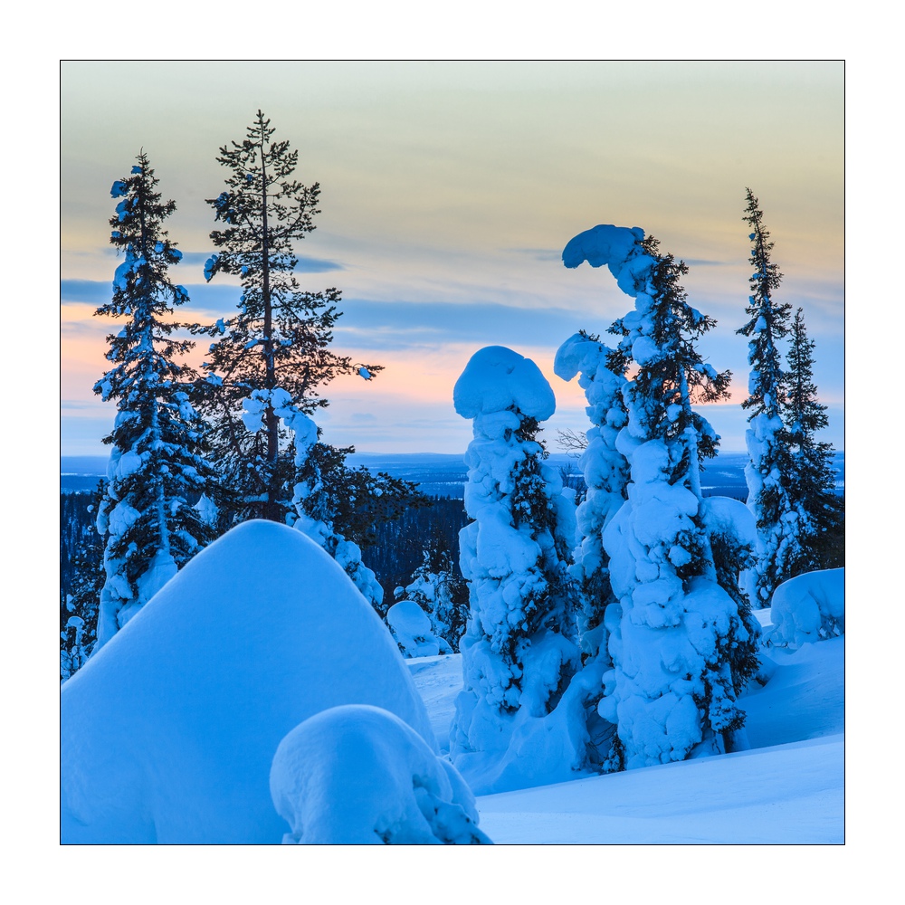Winter in Lappland #36269