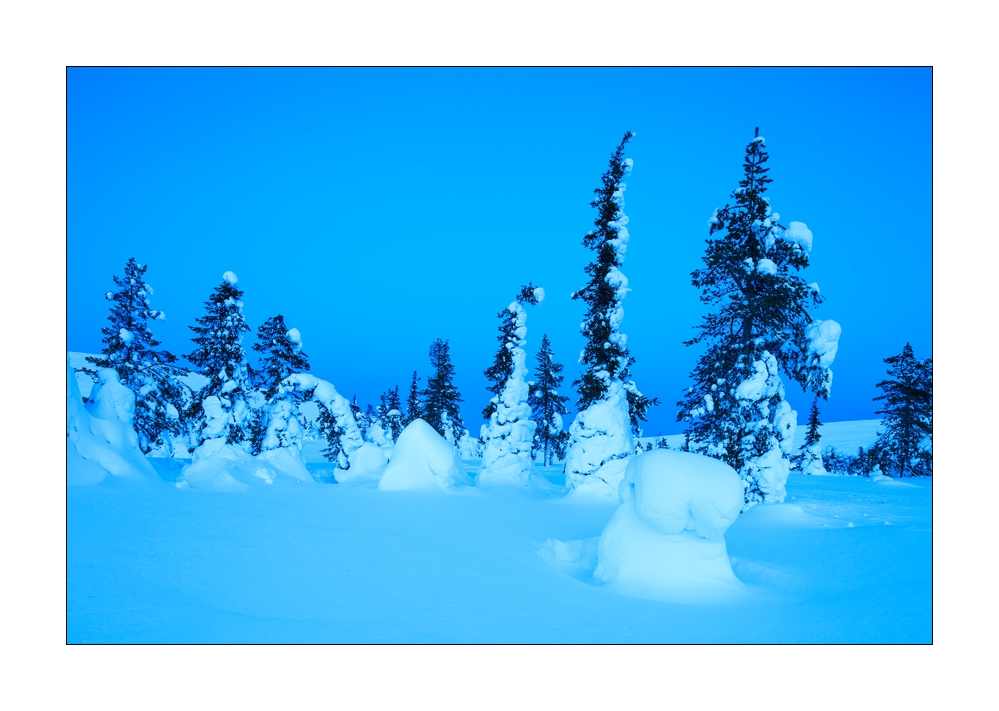 Winter in Lappland #36279