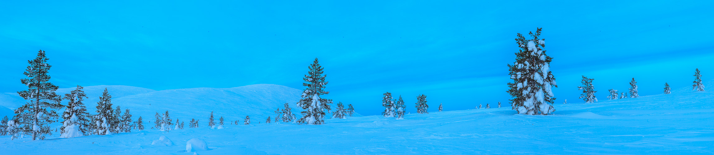 Winter in Lappland Pano #36084
