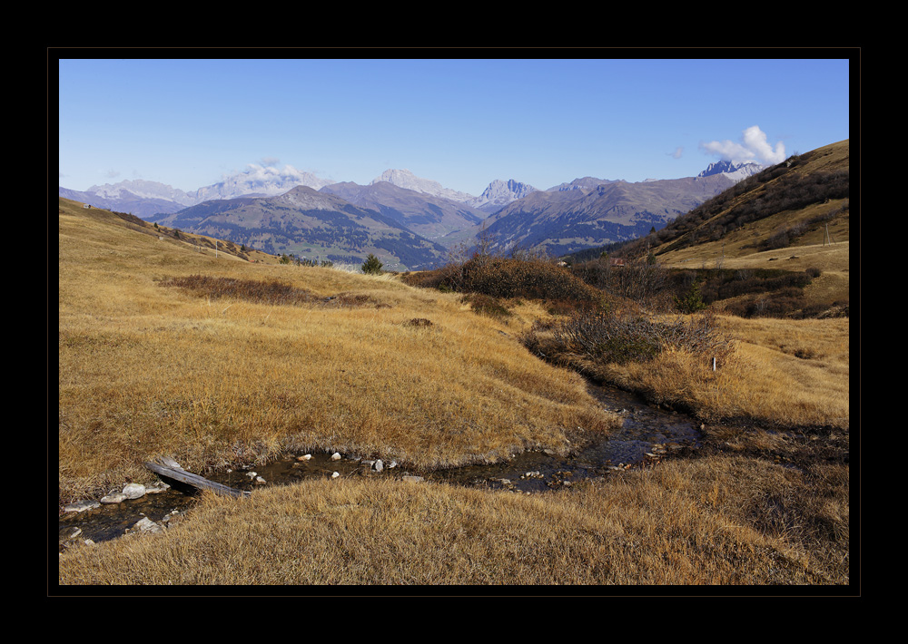 Fideris Heuberge #16594