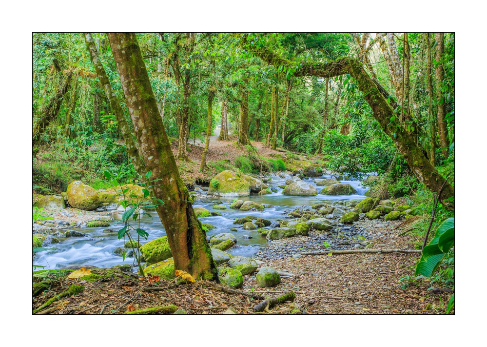 Nationalpark Quetzales #30611