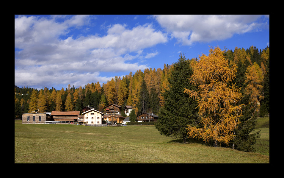 Davos #1664