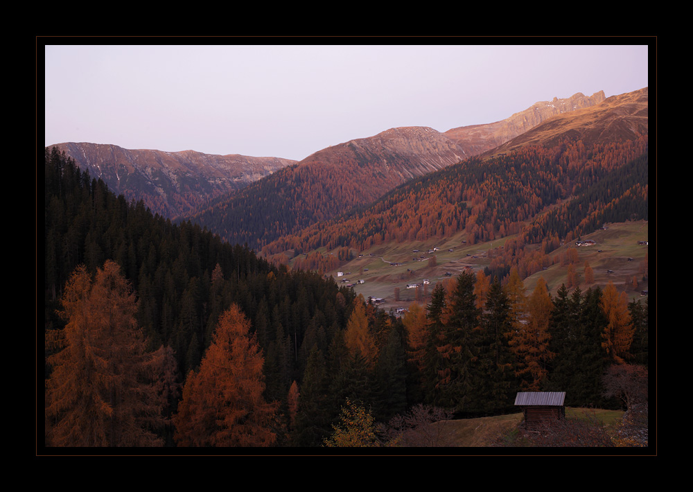 Davos #16689