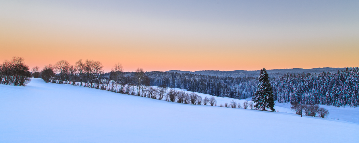 Winter im Jura #39412