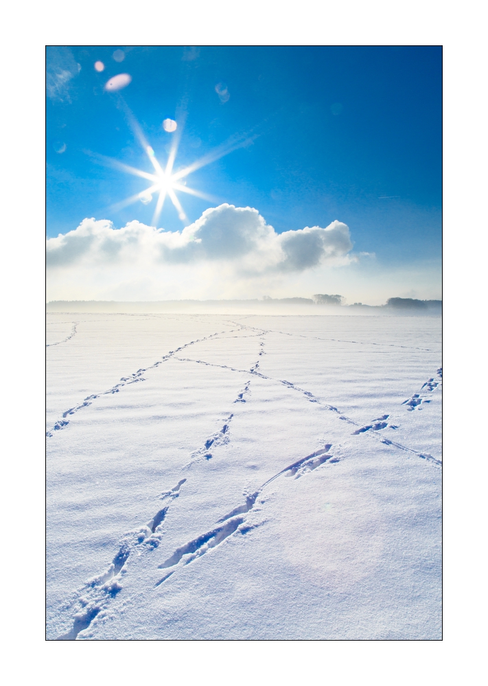 Gempen im Winter #39350