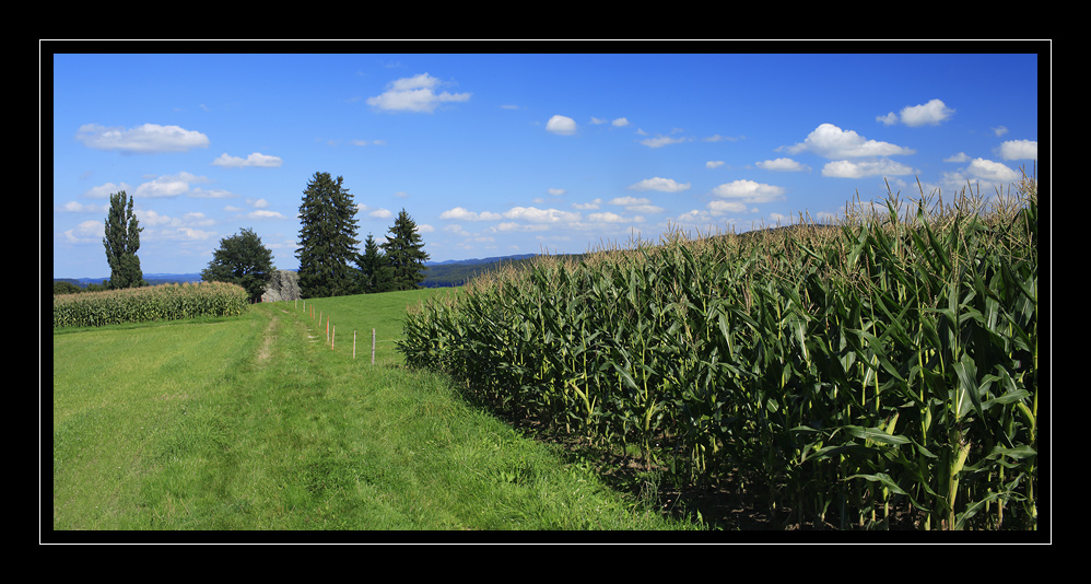 Steinhof #9073