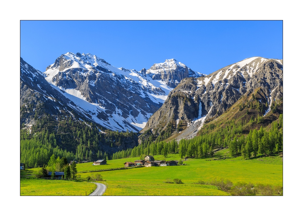Frühling im Sertigtal #34194